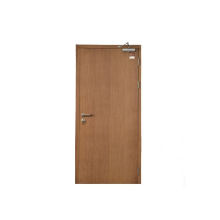 China Manufacturer Hospital Wood Print Steel Fire Proof Door